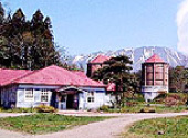 Koiwai Farm